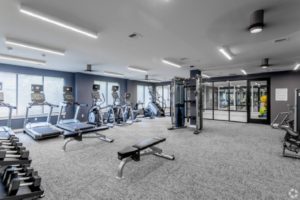 beechtree apartments apartment gyms